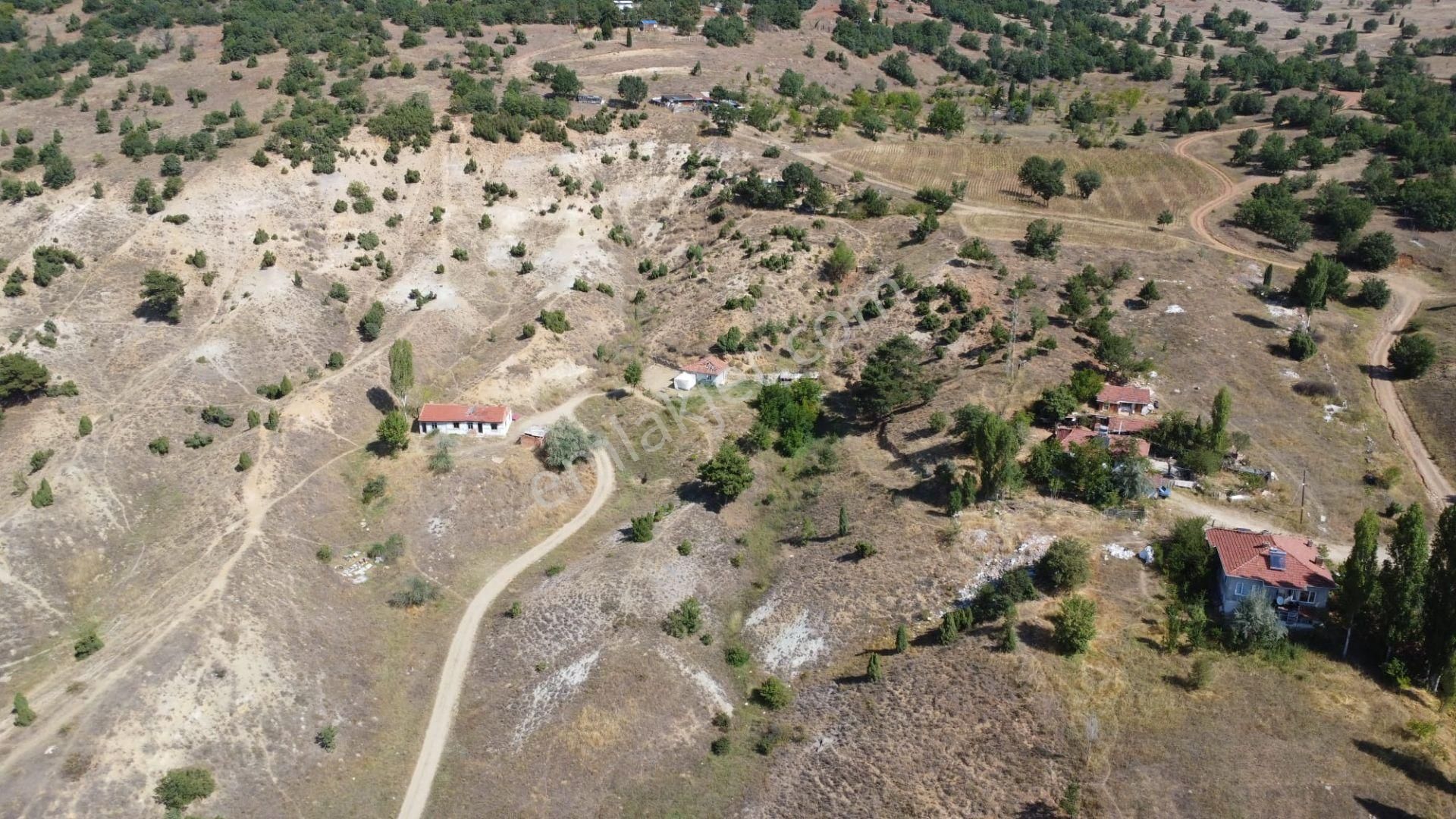 Bozüyük 4 Eylül Satılık Bağ & Bahçe Anka Gayrimenkul'den Bozüyük'de İmar In Dibinde Fırsatarazi