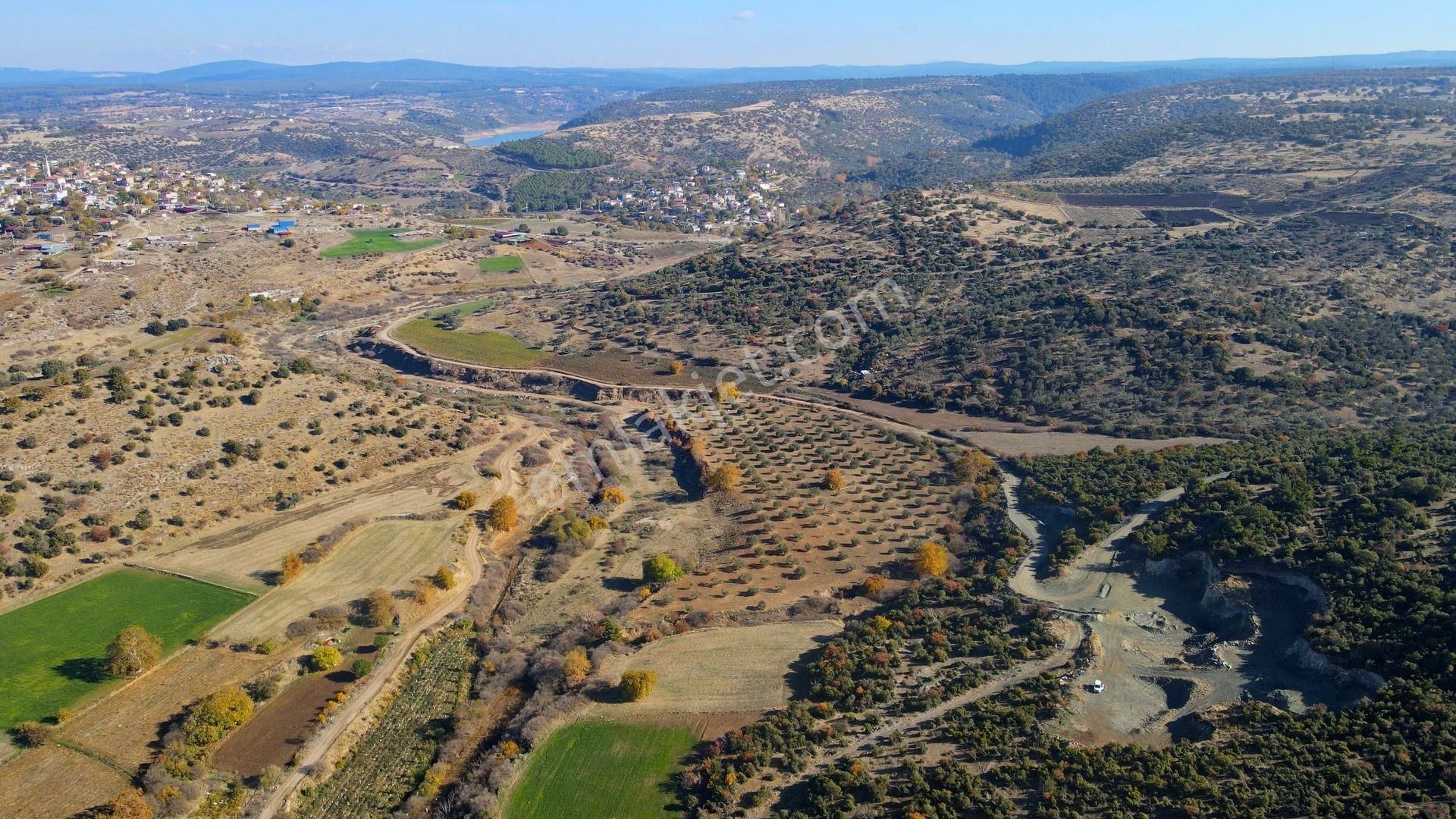 Merkez Akçapınar'da Yolu Mevcut İyi Konumda Tarla - Görsel 16
