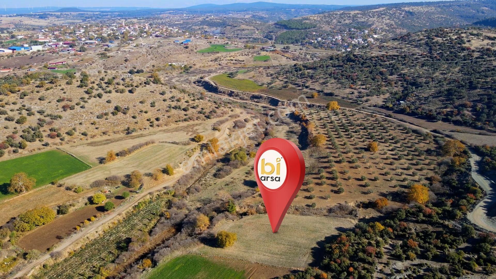 Merkez Akçapınar'da Yolu Mevcut İyi Konumda Tarla - Görsel 13
