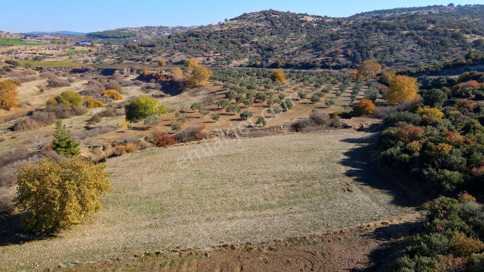 Merkez Akçapınar'da Yolu Mevcut İyi Konumda Tarla - Görsel 9