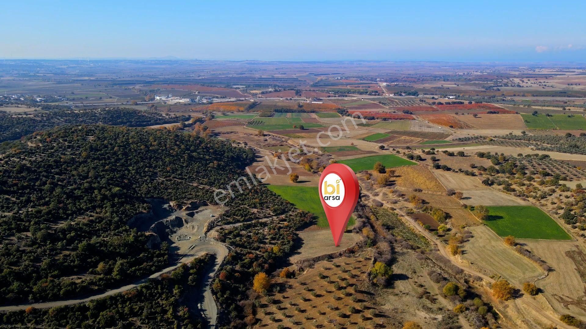 Merkez Akçapınar'da Yolu Mevcut İyi Konumda Tarla - Görsel 2