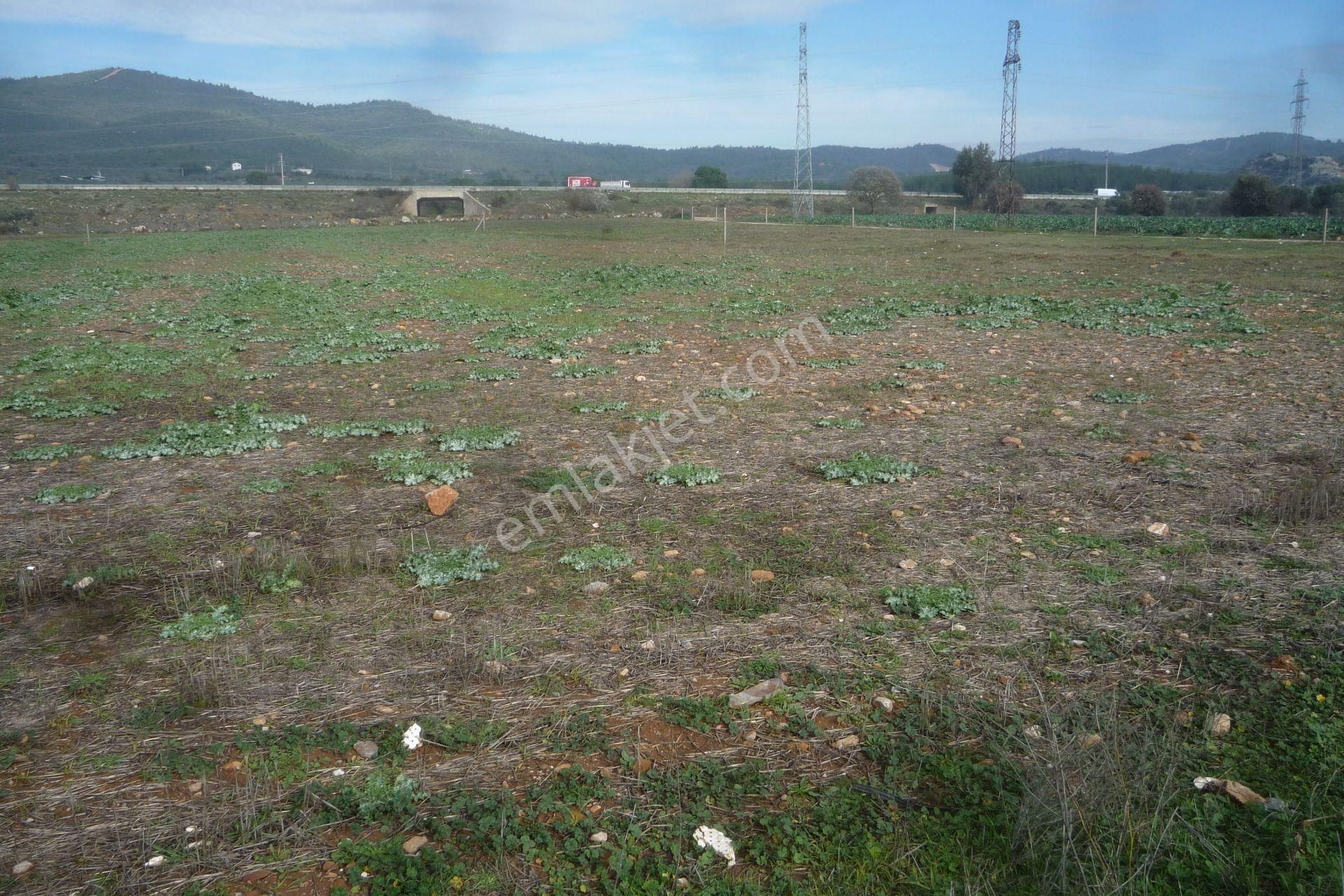 Torbalı Arslanlar Satılık Tarla İzmir Torbalı Gold Emlaktan Satılık Kıymetli Tarla