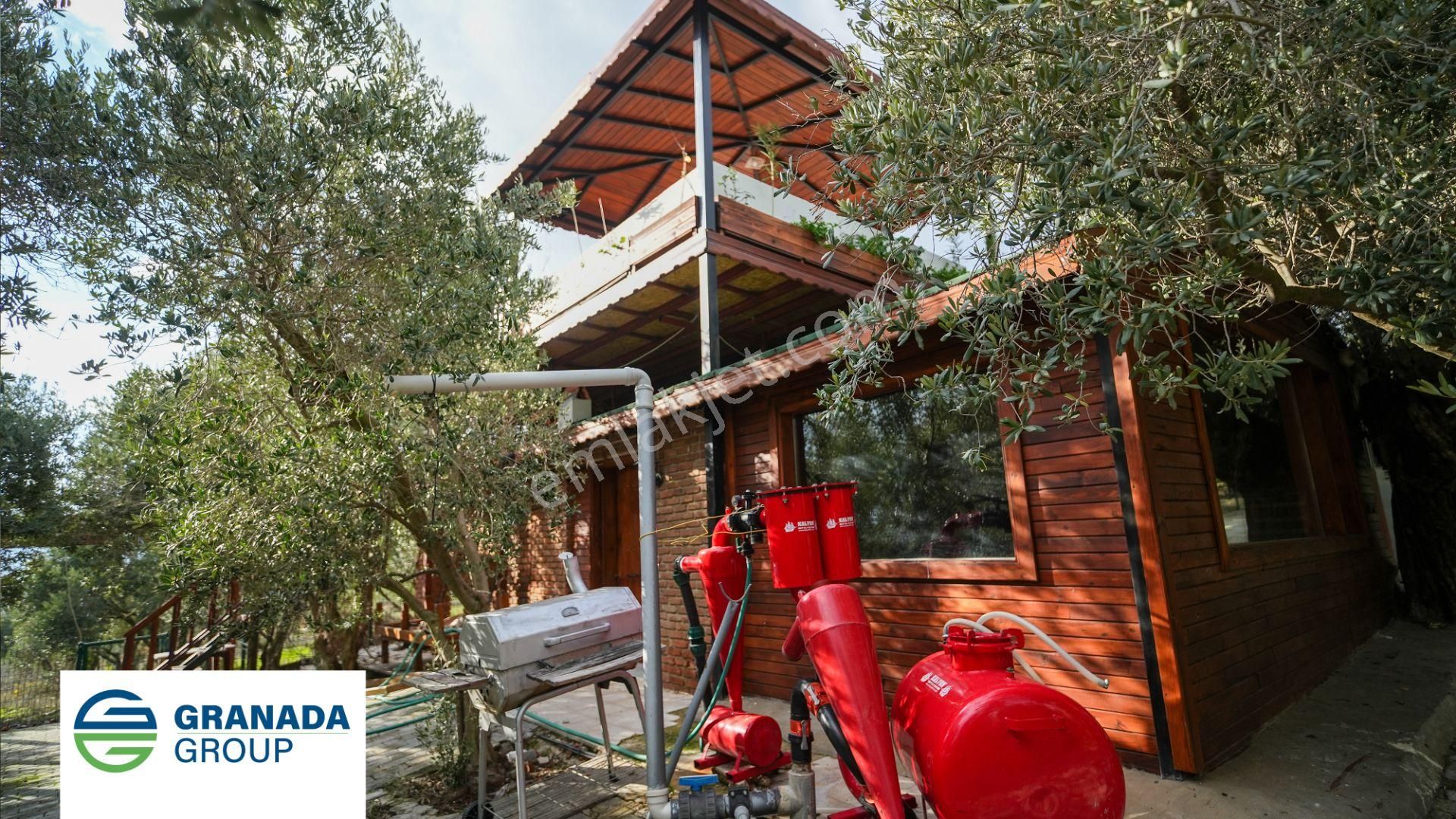 Kuşadası Caferli'de Deniz Manzaralı Satılık Çiftlik - Görsel 7