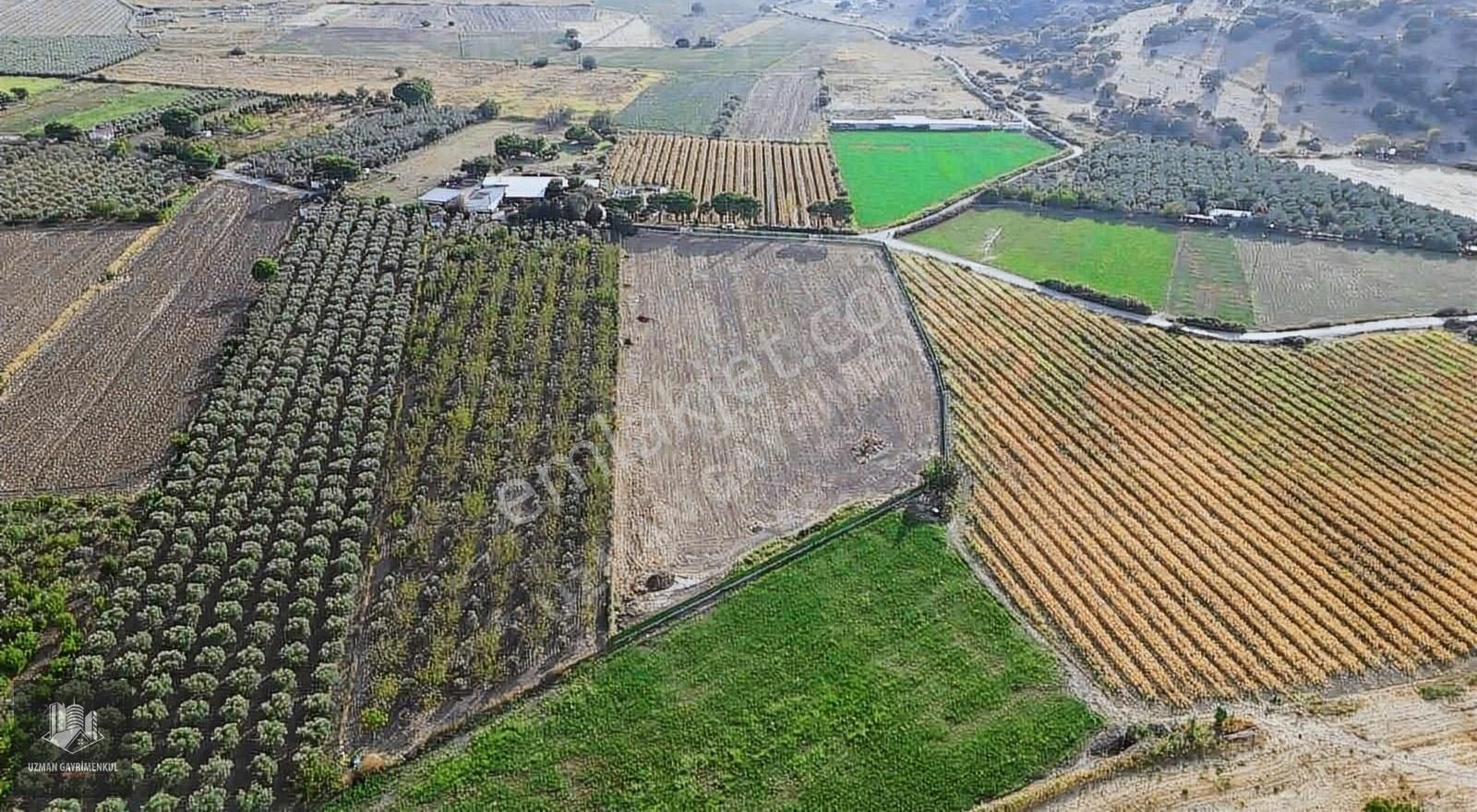 Dikili İsmetpaşa Satılık Tarla Uzmandan İzmir Dikilide 17 Dönüm Tek Tapu Bulunmaz Fırsat Arsa