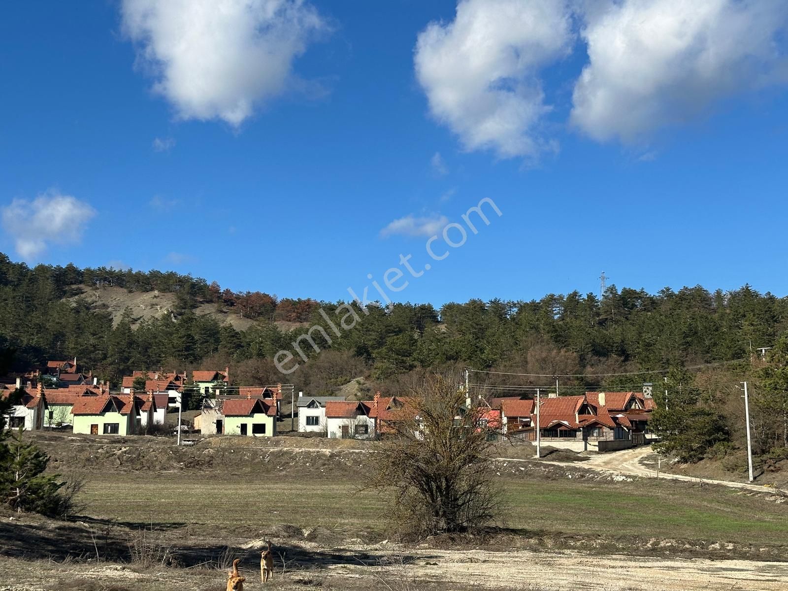 Mudurnu Karacakaya Satılık Konut İmarlı Bolu Mudurnu 'da Doğa İçinde Satılık Bungalov Arsası