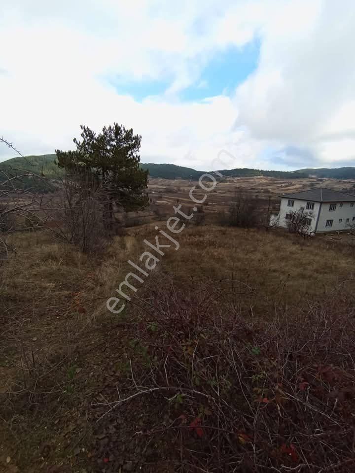 Buldan Süleymanlı Satılık Tarla Denizli Buldan Süleymanli Da Çiftlik Veya Ev Yapımına Uygun 7600 M2 Arazimiz Satılıktır