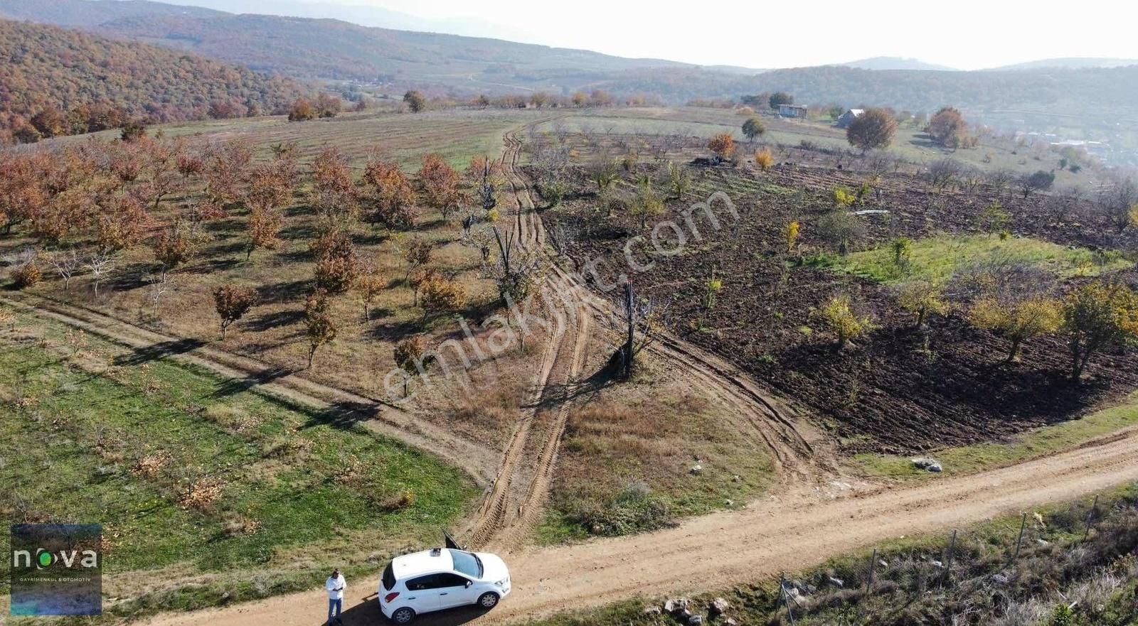 İznik Mahmudiye Satılık Tarla Nova' Dan Harika Konumda Resmi Yolu Mevcut Uygun Fiyat !!!