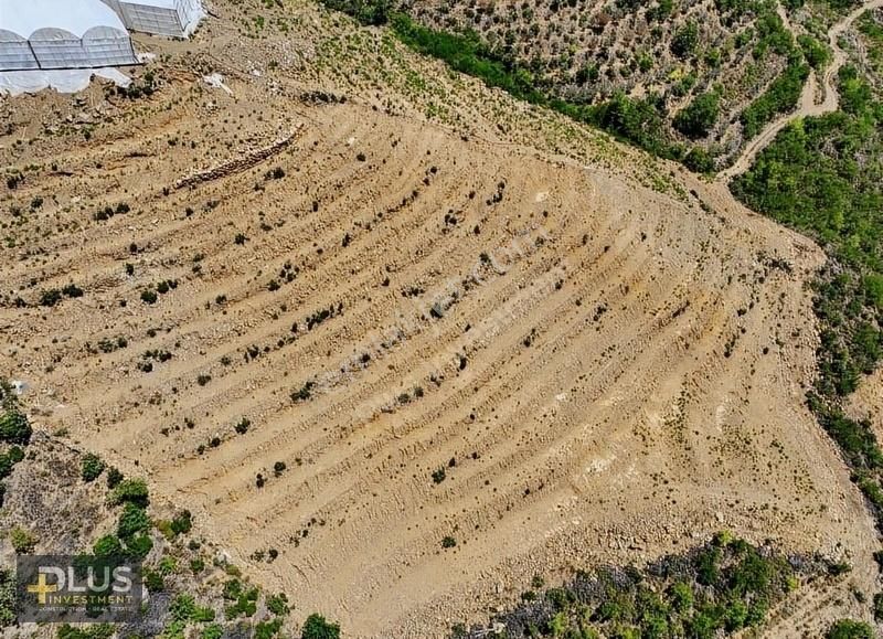 Alanya Çamlıca Satılık Tarla Çamlıca Mahallesinde Mahmutlar Merkez'e Yakın Satılık Tarla