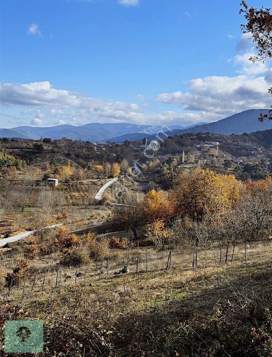 Bayramiç Beşik Köyü Satılık Konut İmarlı Çanakkale Bayramiç Beşik Köyünde Doğa Manzaralı Arsa