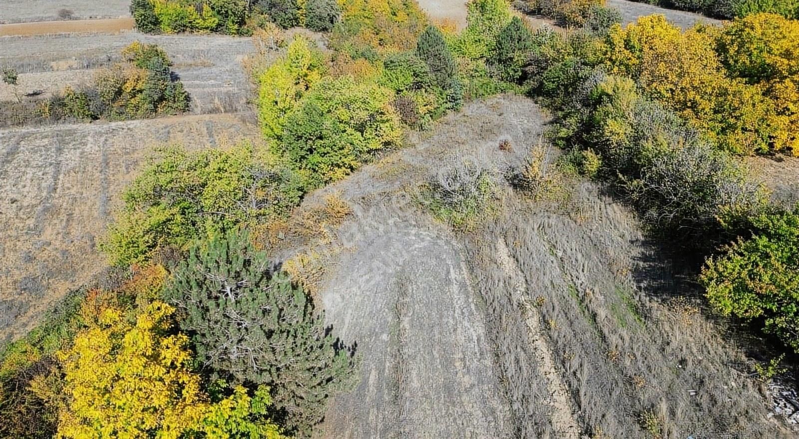 İnegöl Küçükyenice Satılık Tarla Bursa İnegöl Küçükyenice 'de 1800 M2 Tek Tapu Tarla