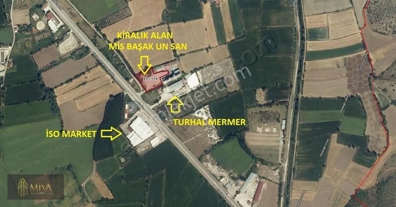 Turhal Güneş Kiralık Genel Turhal - Tokat Yolu Ofis Binası- Açık Alan