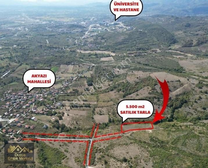 Düzce Merkez Akyazı Köyü Satılık Tarla Akyazı Köyünde Satılık Tepe Konumda 5.500 M2 Tarla