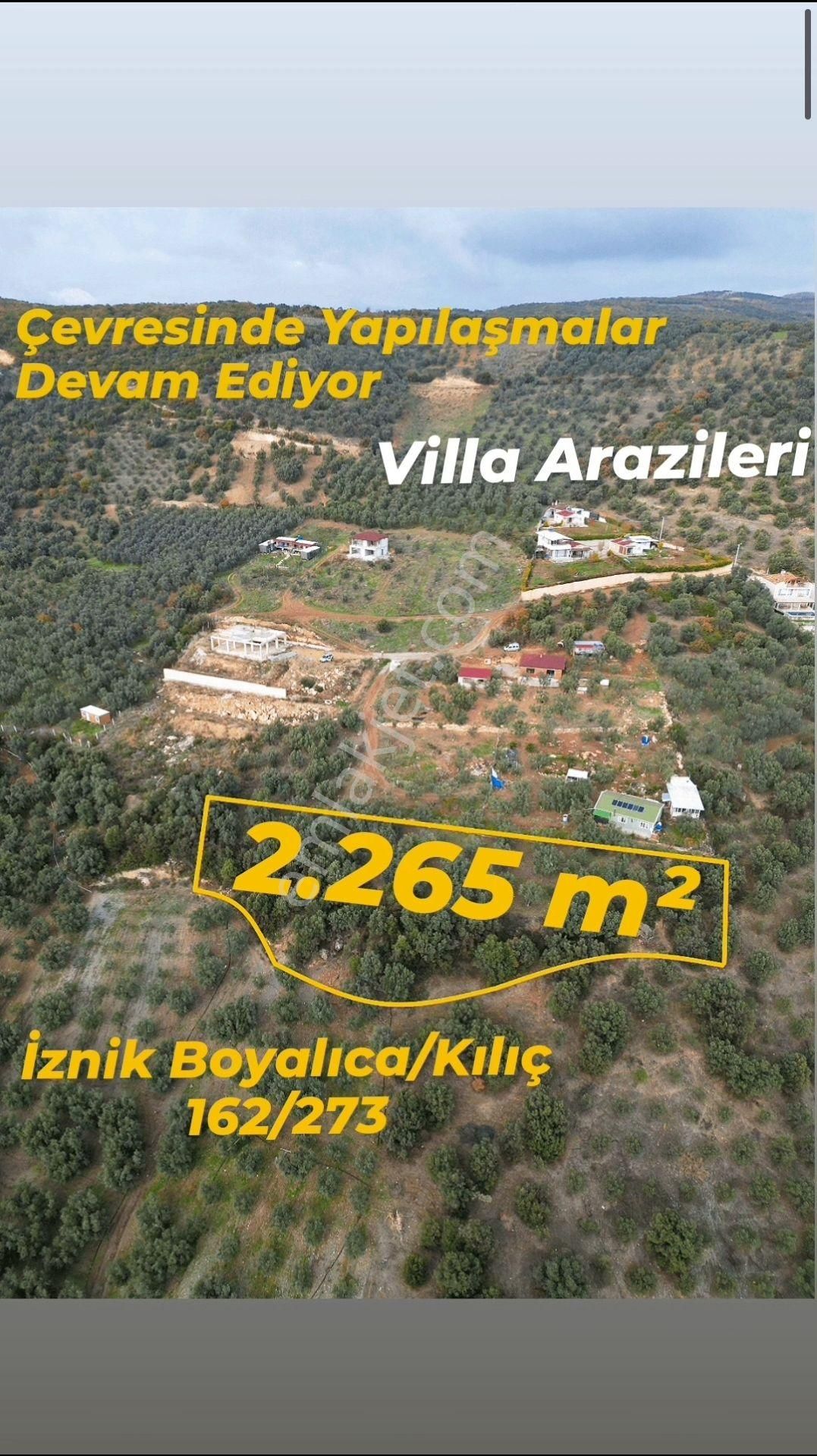 İznik Boyalıca Satılık Zeytinlik Villalık Arazilerde Göl Manzaralı Zeytinlik / İznik - Boyalıca