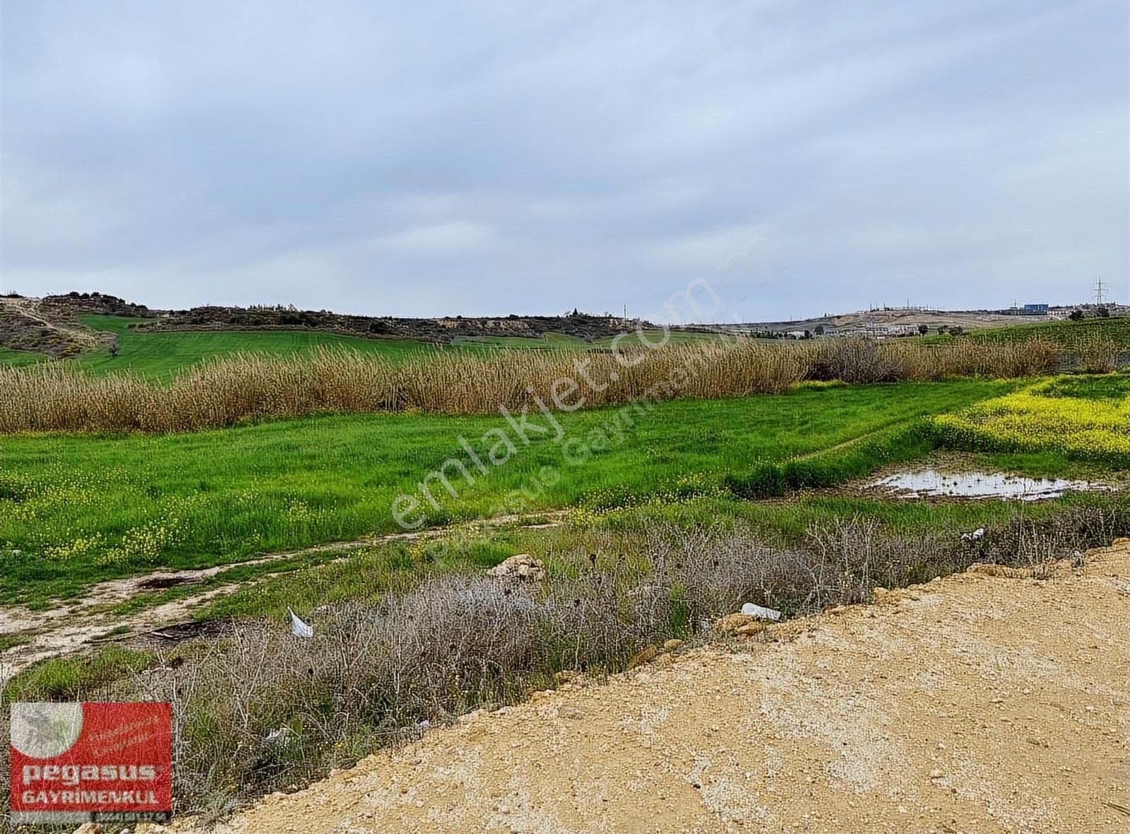 Pegasus'tan Çukurova Şambayatta İmarlı Arsalar - Görsel 17