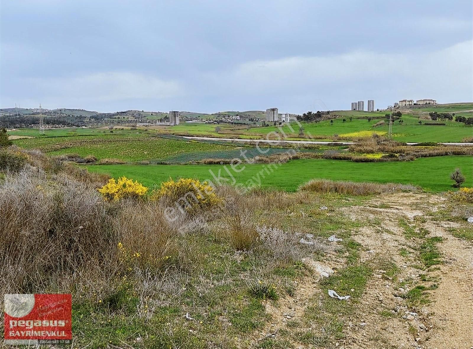 Pegasus'tan Çukurova Şambayatta İmarlı Arsalar - Görsel 5