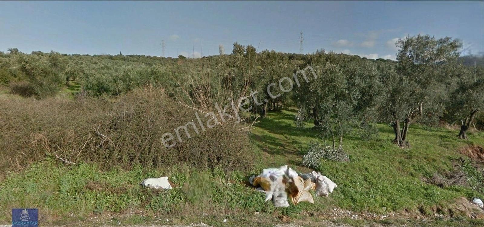 Erdek Çeltikçi Satılık Tarla Erdek Çeltikçi'de Satılık Denize Ve Ana Yola Çok Yakın 4.050 M2 Mükemmel Arazi Bayraktar Emlak'tan