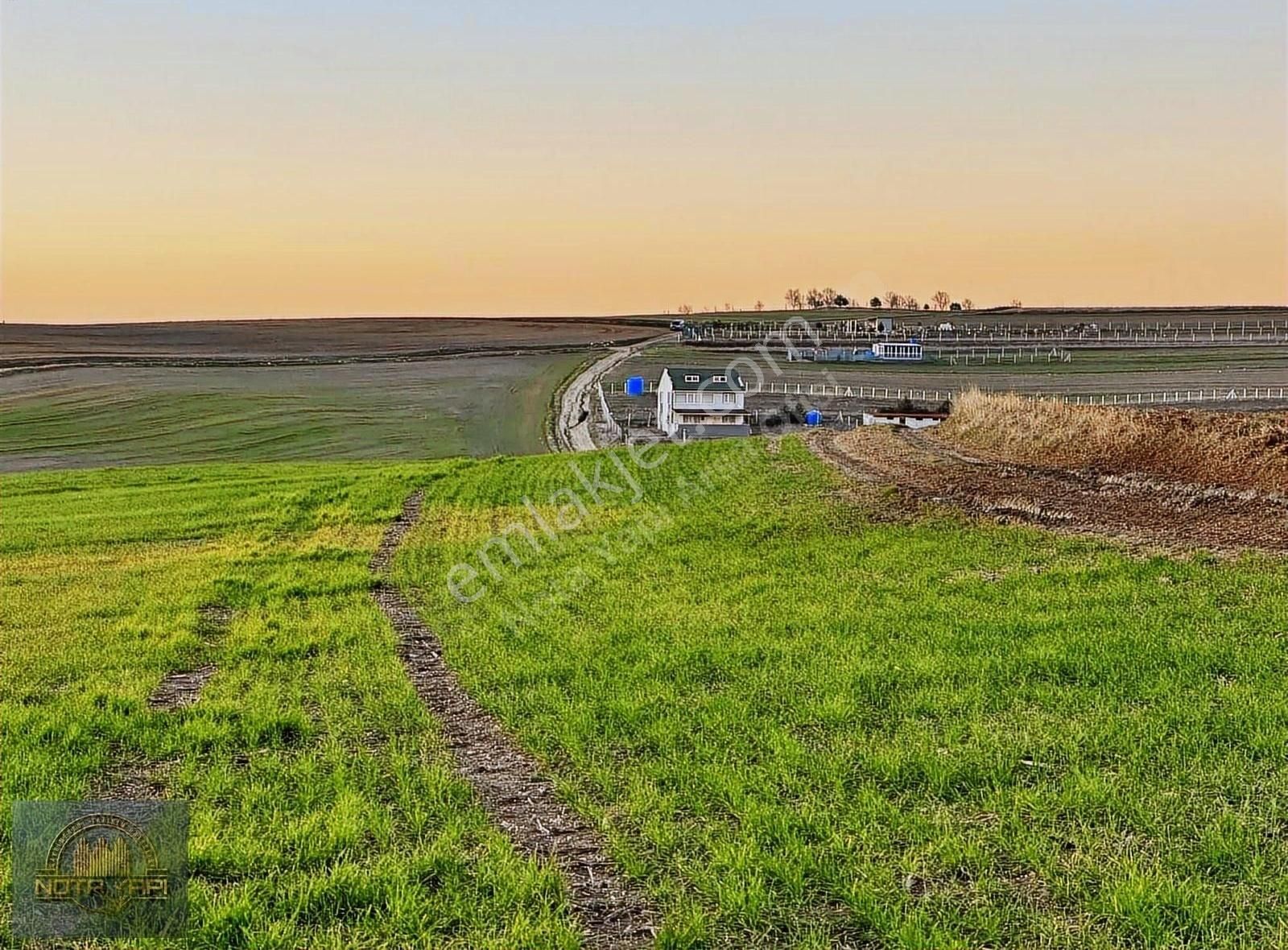 Marmaraereğlisi Çeşmeli Satılık Tarla 460 M2 Acil Satılık İmara Komşu Deniz Manzaralı Arsa