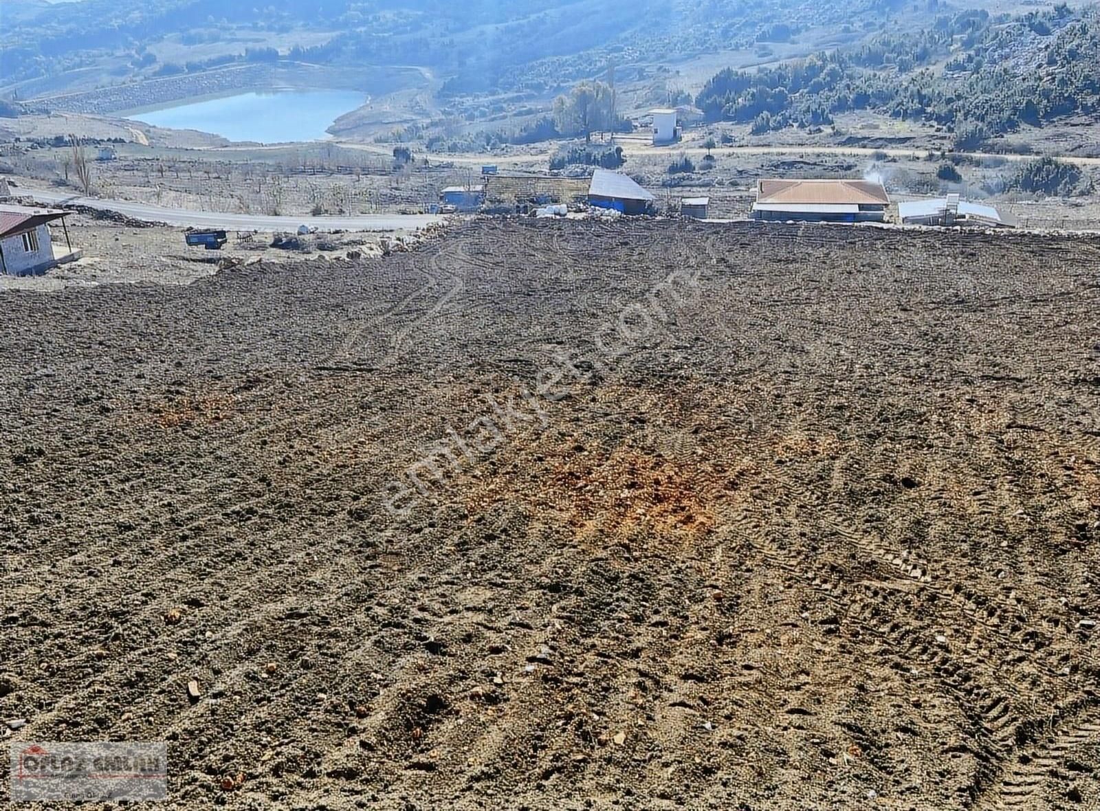 Yayladağı Hisarcık Satılık Toplu Konut İçin Oflaz Emlaktan Satılık Tarla Yayladağı Antakya' Yoluna 4.parsel.