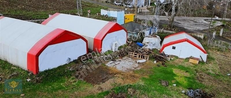 Samsun Atakum Devren Fabrika Ertaş Emlak'da Devren Kiralık Mantar Üretim Tesısi