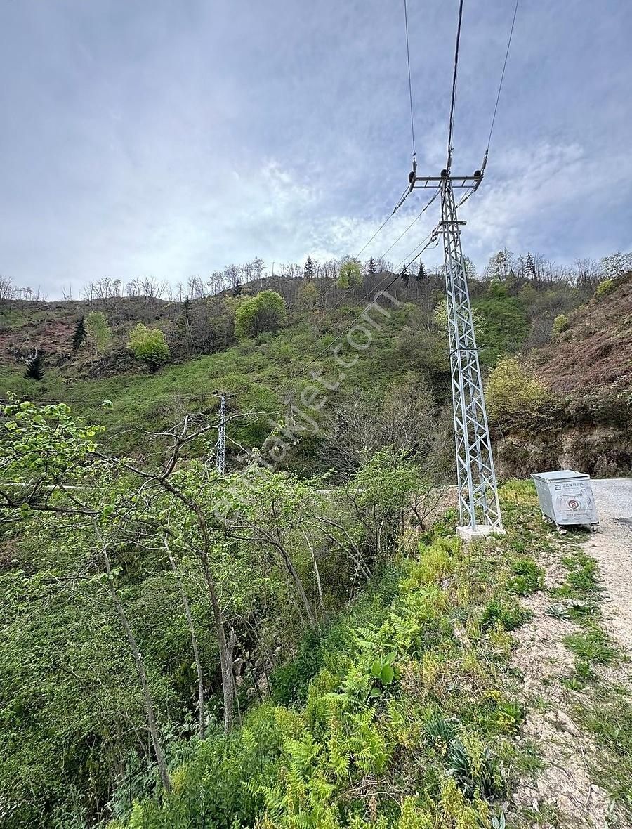 Giresun Merkez Alınca Köyü (Batlama) Satılık Bağ & Bahçe İnanç Primedan Alınca Köyünde 7,7 Dönüm Satılık Fındık Bahçesi