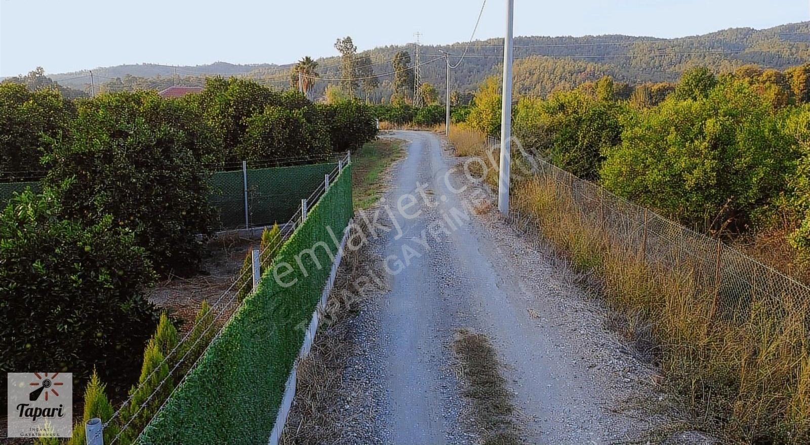 Köyceğiz Döğüşbelen Satılık Bağ & Bahçe Tapari Den Döğüşbelen Satılık 3100 M Narenciye Bahçesi