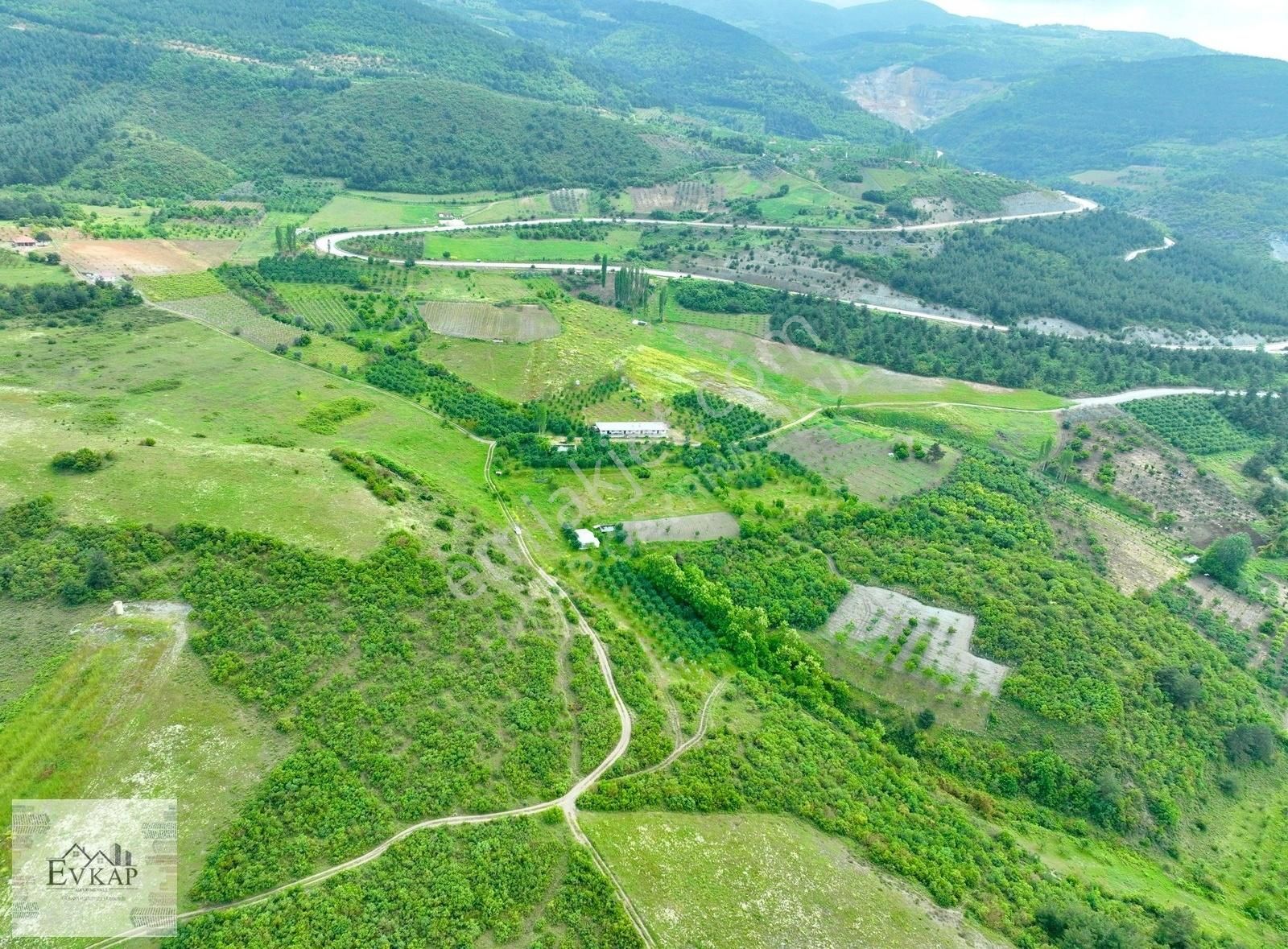 Geyve Ahibaba Satılık Bağ & Bahçe Geyve Ahibabada Elektirik Su Ve Yolu Olan Satılık Arazi