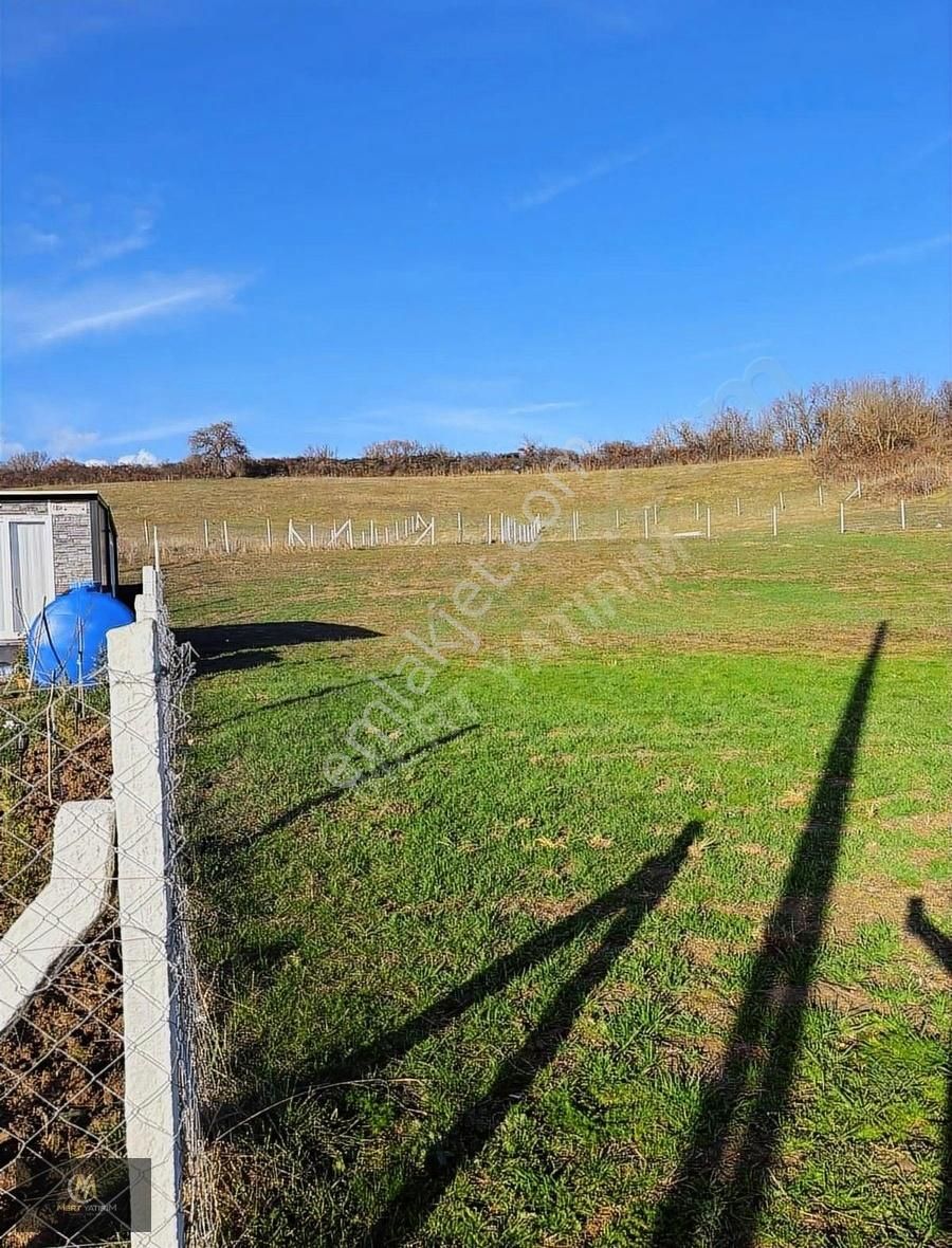 Silivri Bekirli Satılık Tarla İmar Sınırında 280 M² Elektrik Mevcut