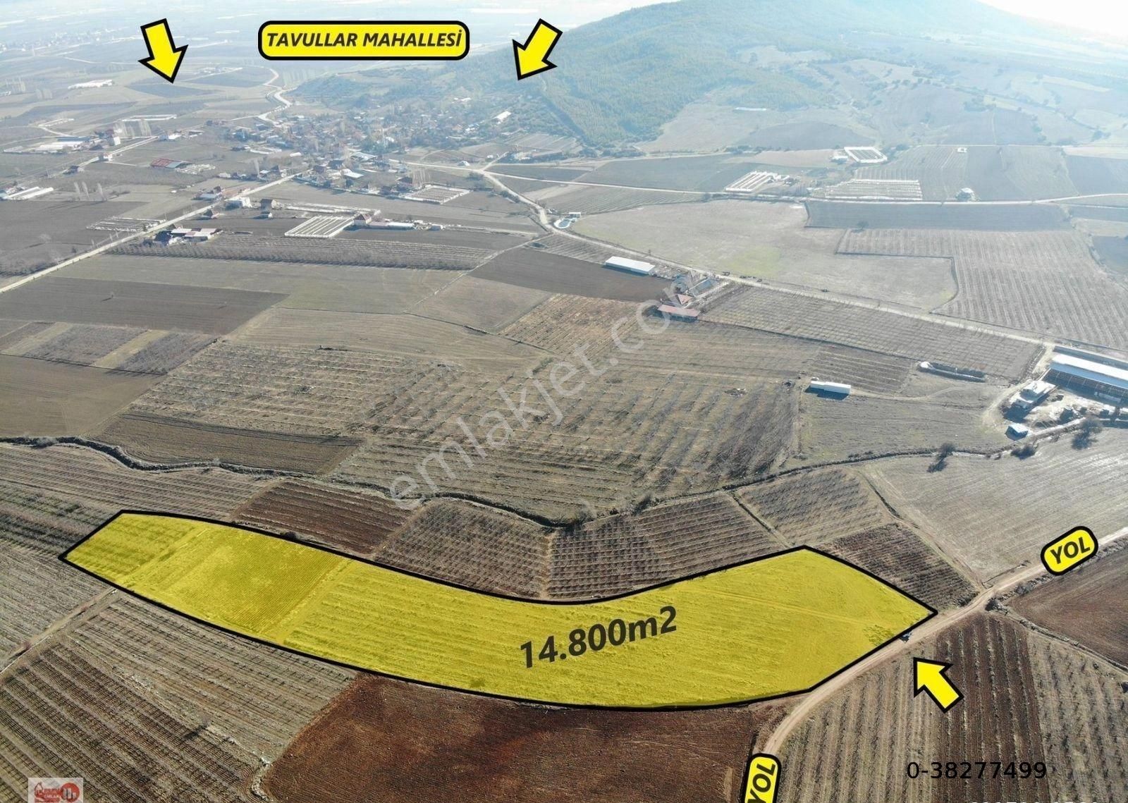 Antalya Elmalı Tavullar Mahalle Merkezine 300m Mesafede Kadastrol Yola Cephe 14.800m2 Satılık Tarla - Görsel 8