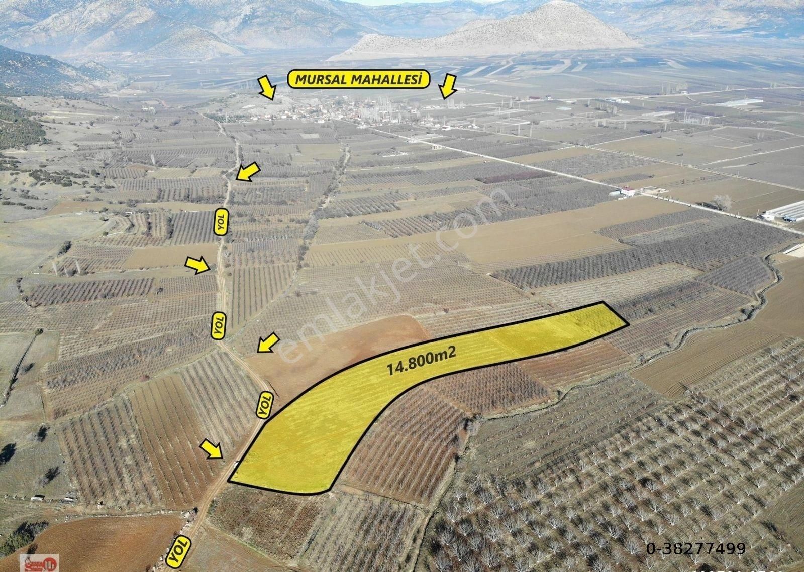 Elmalı Mursal Satılık Tarla Antalya Elmalı Tavullar Mahalle Merkezine 300m Mesafede Kadastrol Yola Cephe 14.800m2 Satılık Tarla