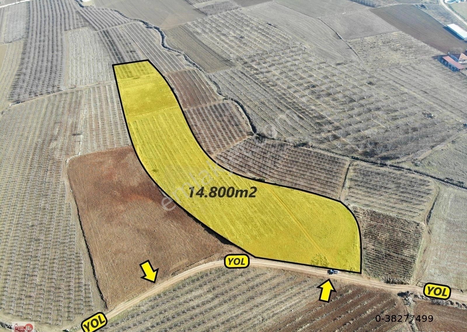 Antalya Elmalı Tavullar Mahalle Merkezine 300m Mesafede Kadastrol Yola Cephe 14.800m2 Satılık Tarla - Görsel 2