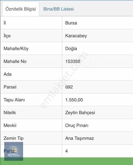 Karacabey Doğla Satılık Bağ & Bahçe Karacabey Doğla / Satılık / 1,550 M2 Zeytin Bahçesi