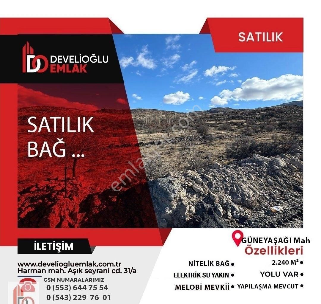 Develi Güneyaşağı Satılık Bağ & Bahçe Güneyaşağı Melobi Satılık Bağ