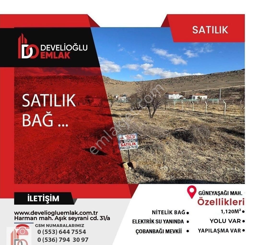 Develi Güneyaşağı Satılık Bağ & Bahçe Çobanbağı Mevkii Satılık Bağ Yolu Var