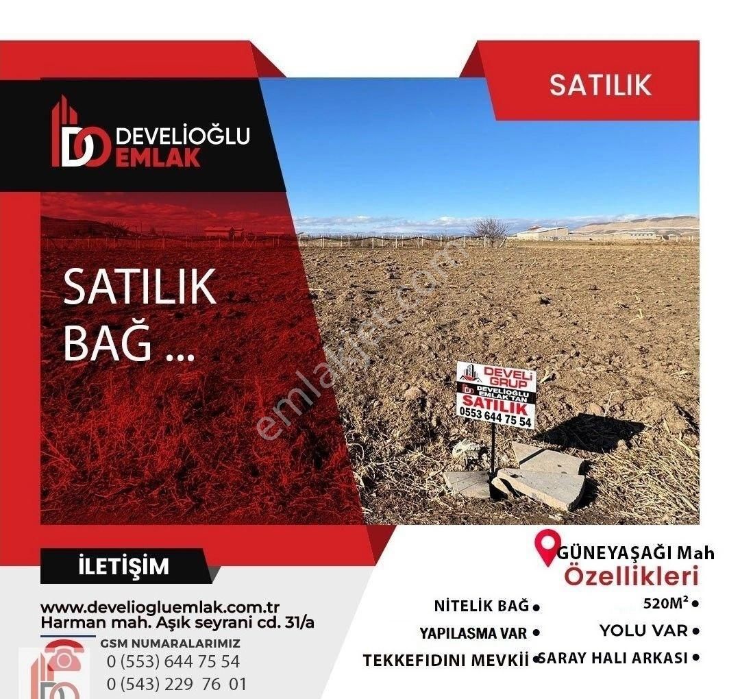 Develi Güneyaşağı Satılık Bağ & Bahçe Güneyaşağı Tekkefıdını Satılık Bağ