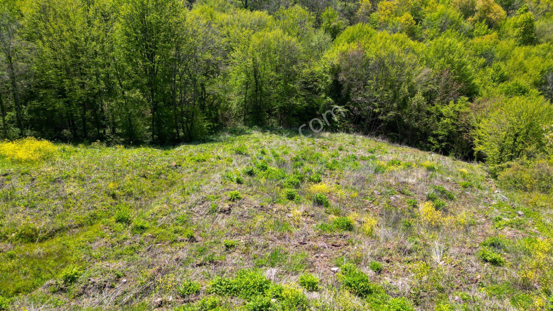 Kocaeli Karamürsel Pazarköy %5 İmarlı 1376 M2 Satılık Tarla - Görsel 16
