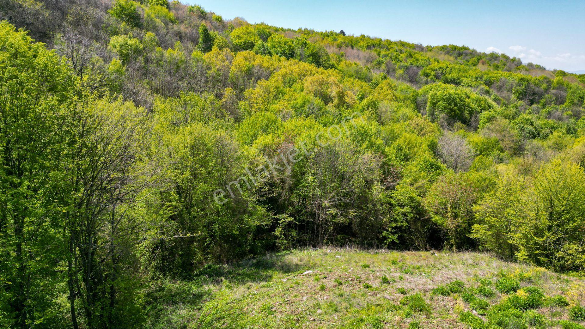 Kocaeli Karamürsel Pazarköy %5 İmarlı 1376 M2 Satılık Tarla - Görsel 15