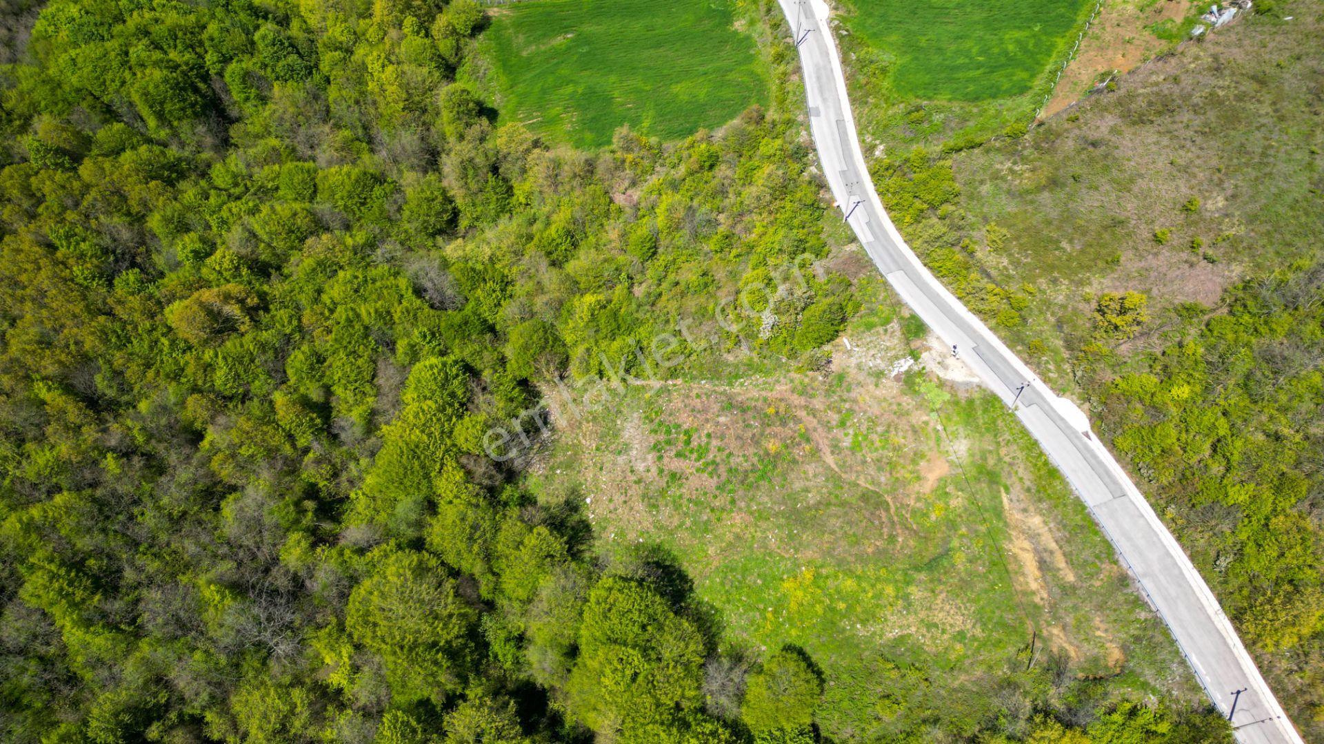 Kocaeli Karamürsel Pazarköy %5 İmarlı 1376 M2 Satılık Tarla - Görsel 5