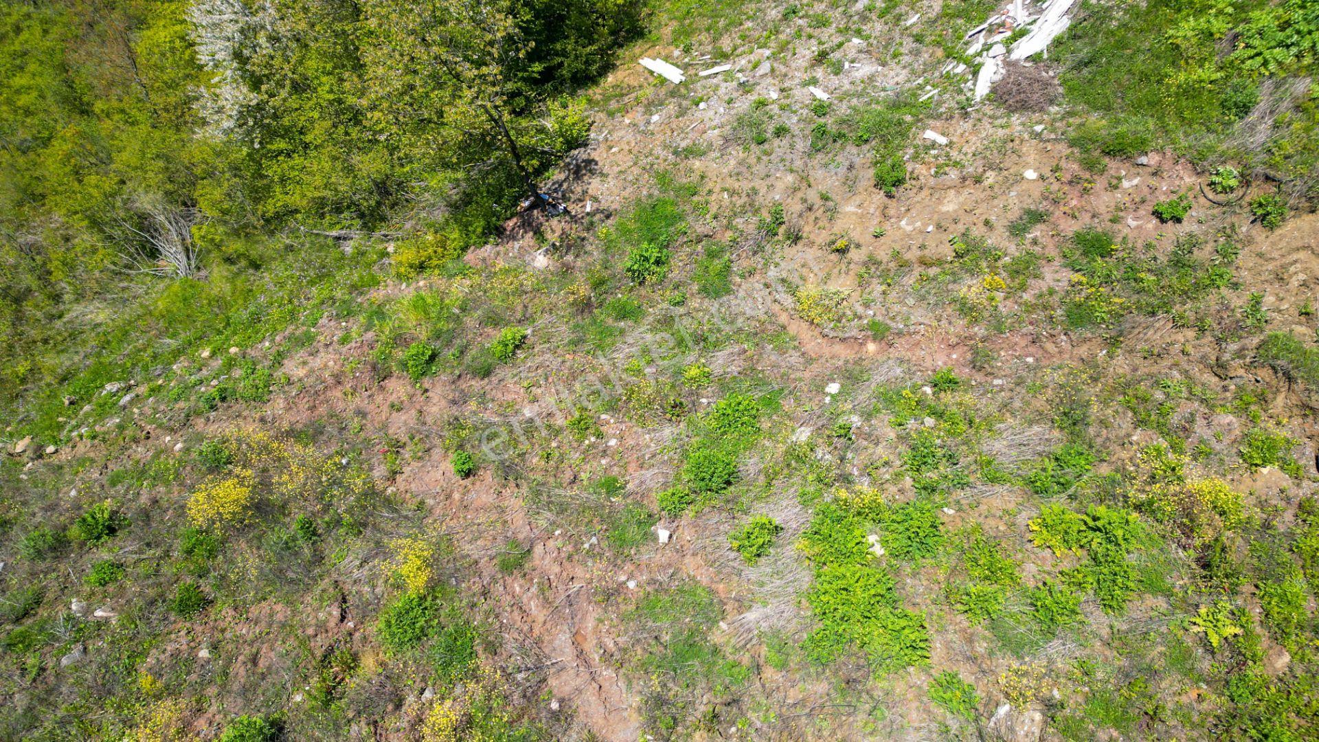 Kocaeli Karamürsel Pazarköy %5 İmarlı 1376 M2 Satılık Tarla - Görsel 11