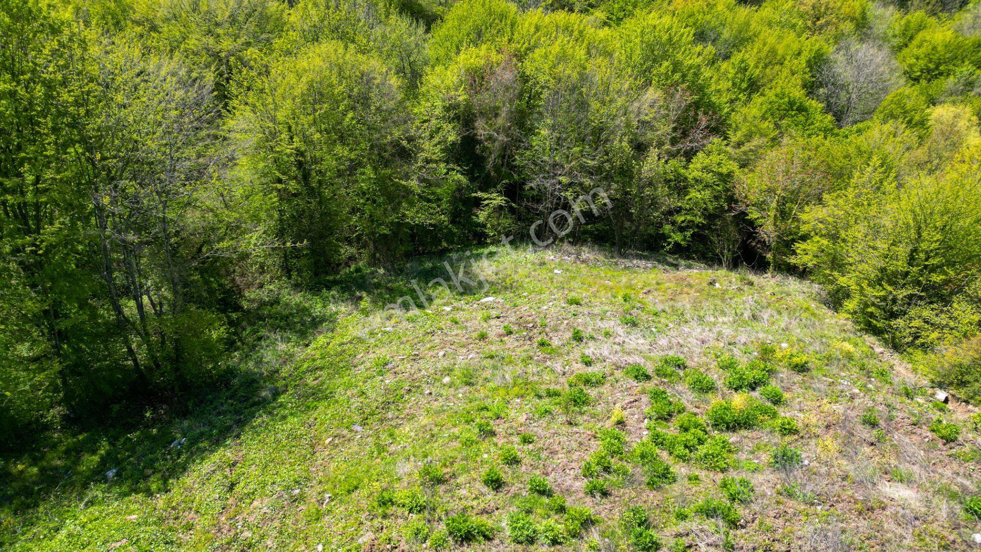 Kocaeli Karamürsel Pazarköy %5 İmarlı 1376 M2 Satılık Tarla - Görsel 12