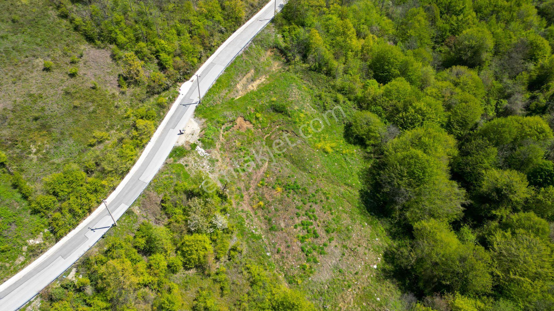 Kocaeli Karamürsel Pazarköy %5 İmarlı 1376 M2 Satılık Tarla - Görsel 8
