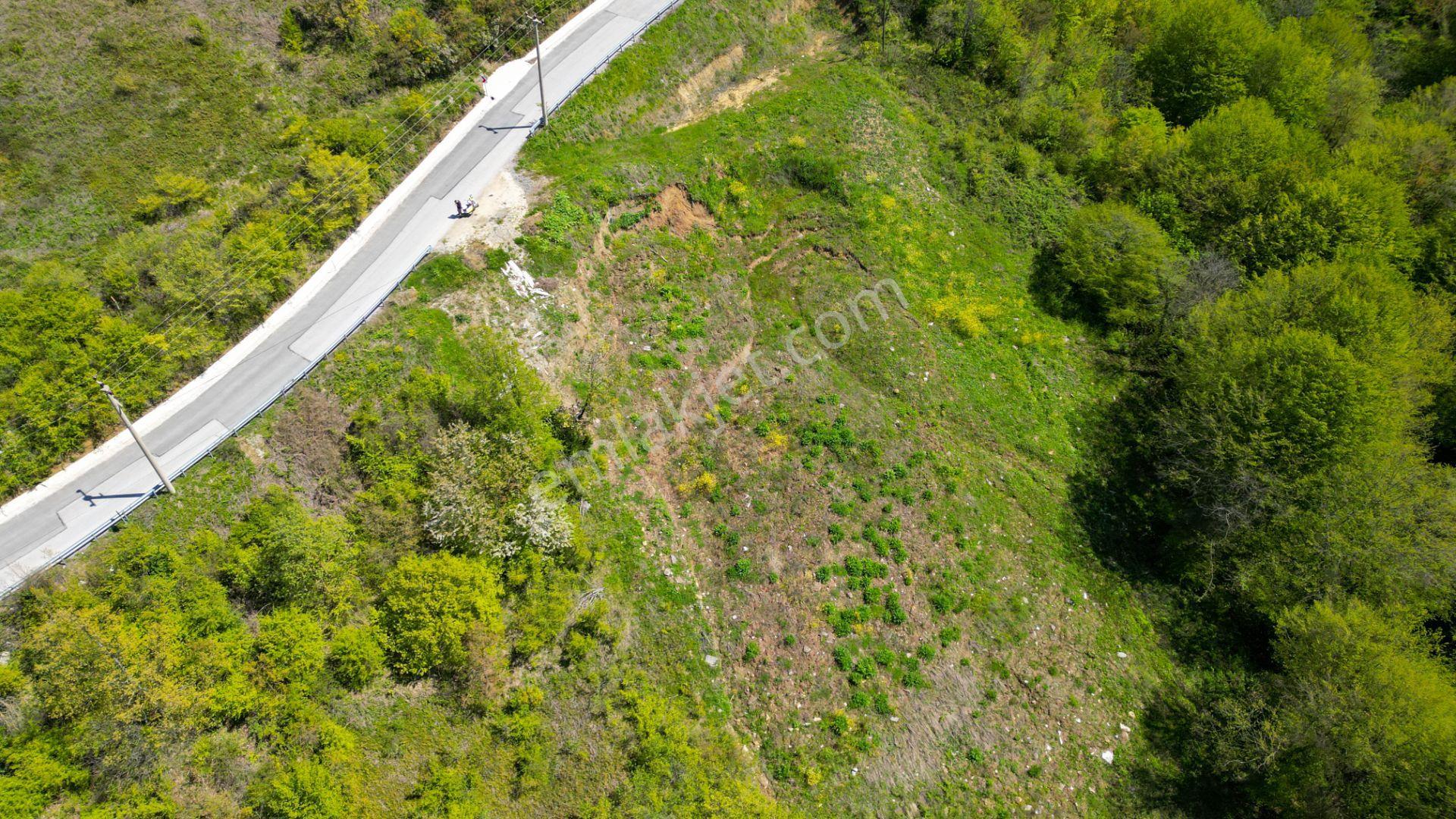 Kocaeli Karamürsel Pazarköy %5 İmarlı 1376 M2 Satılık Tarla - Görsel 9