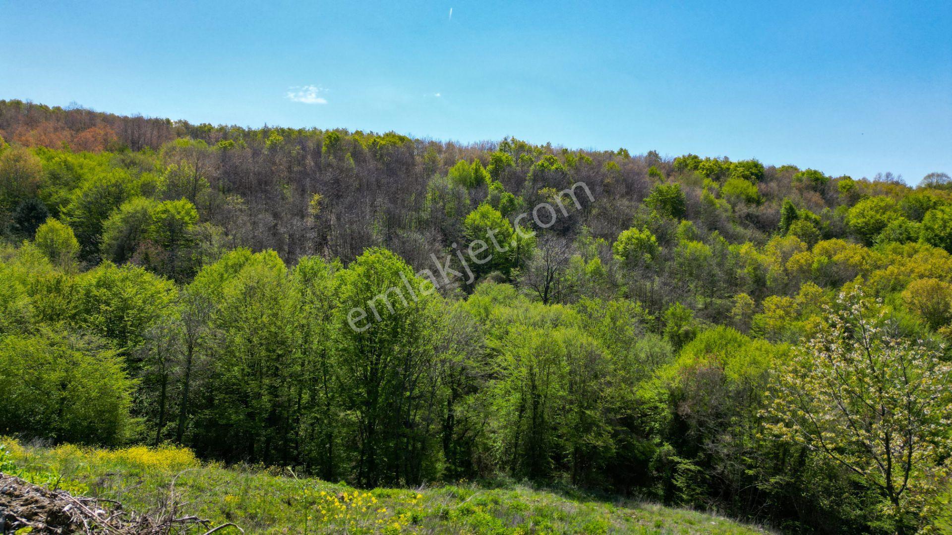 Kocaeli Karamürsel Pazarköy %5 İmarlı 1376 M2 Satılık Tarla - Görsel 19