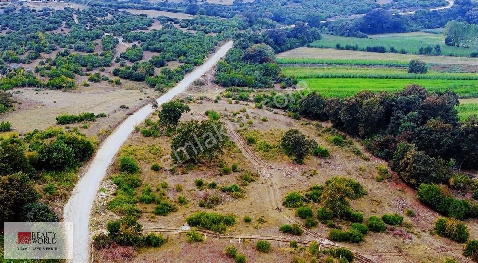 Kandıra Kızılcapınar Satılık Tarla Kandırada Emsallerinin Altında Fiyat Kupon Arsa Yol Kenarı