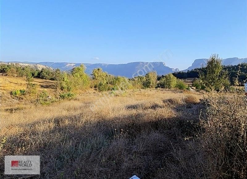 Yenipazar Yumaklı Köyü Satılık Tarla Yenipazar Yumaklı ' Da Köye Çok Yakın Arazi