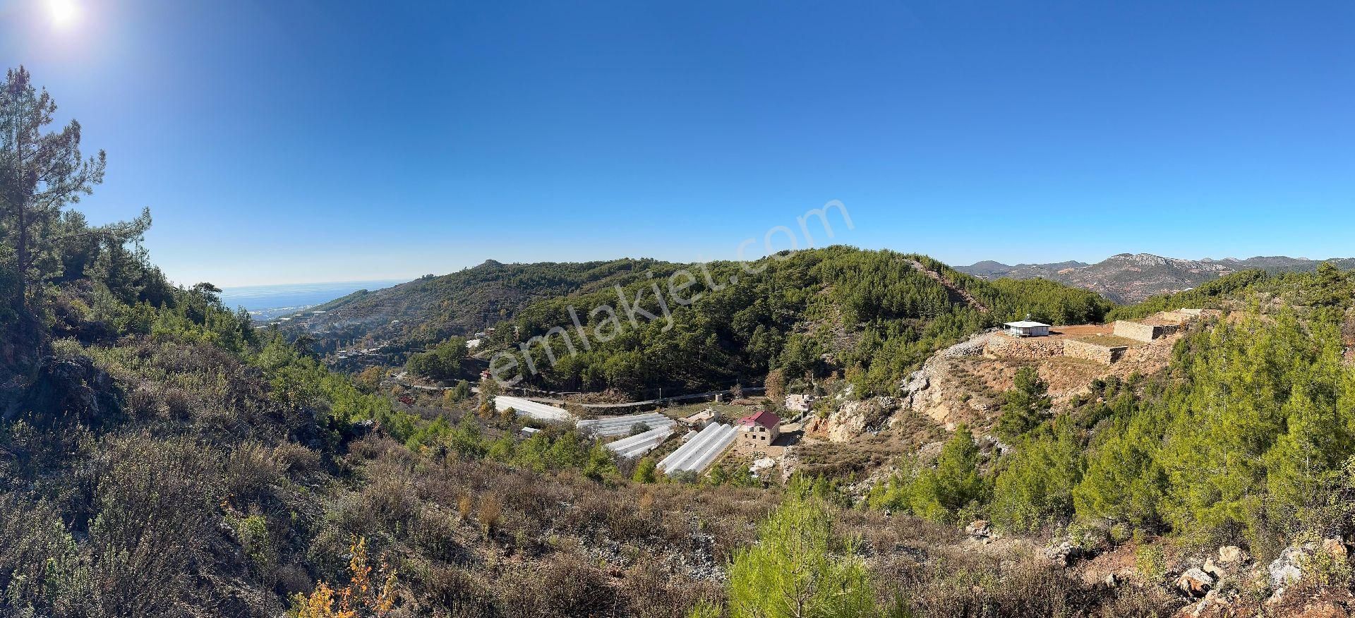 Alanya Kayabaşı Satılık Tarla Satılık Tarla