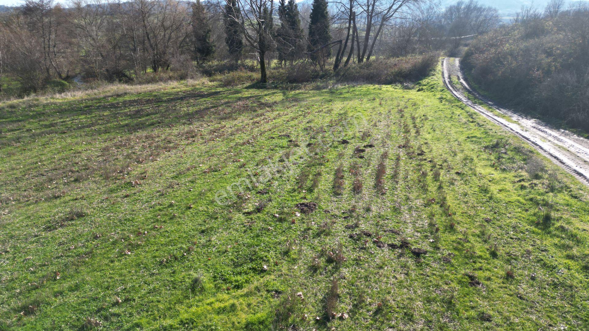 Kocaeli Karamürsel Kızderbent 3439 M2 %5 İmarlı Satılık Tarla - Görsel 8