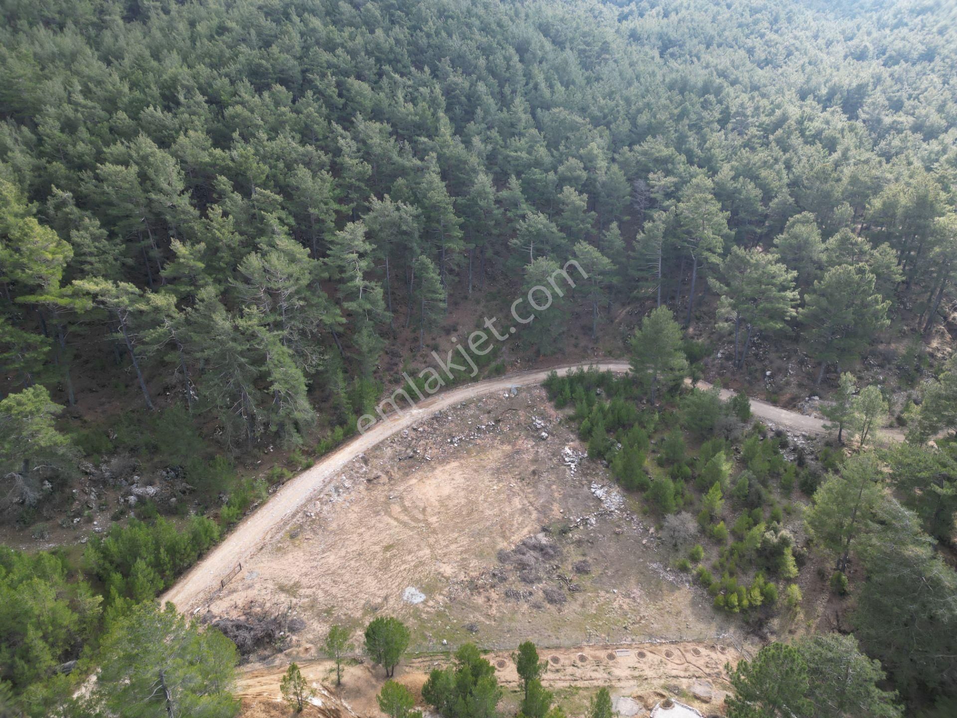 Goldhouse Dan Satılık Tarla Nif De 3621 M2 - Görsel 5