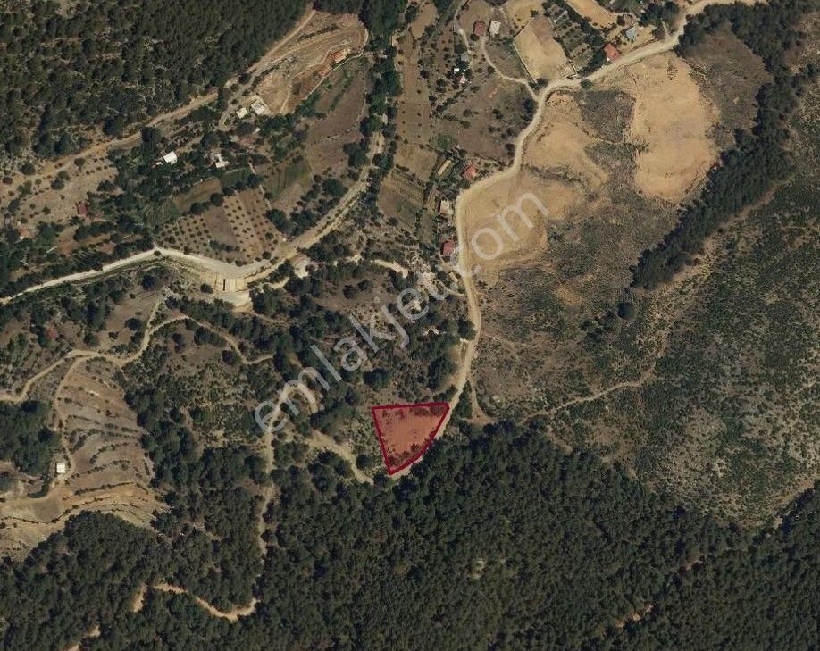 Goldhouse Dan Satılık Tarla Nif De 3621 M2 - Görsel 8