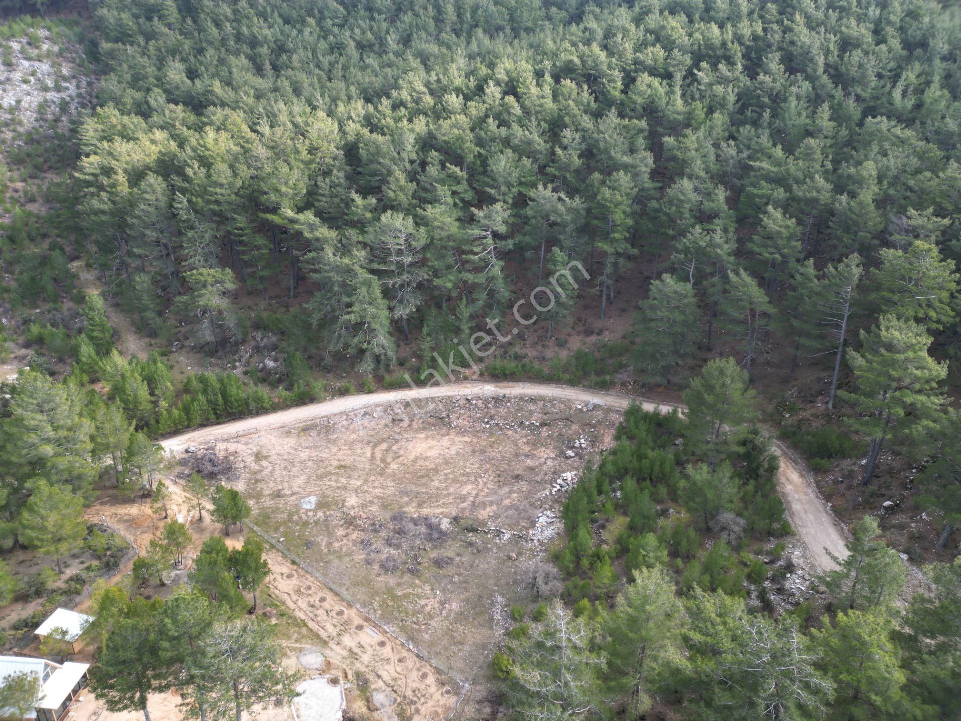 Goldhouse Dan Satılık Tarla Nif De 3621 M2 - Görsel 4