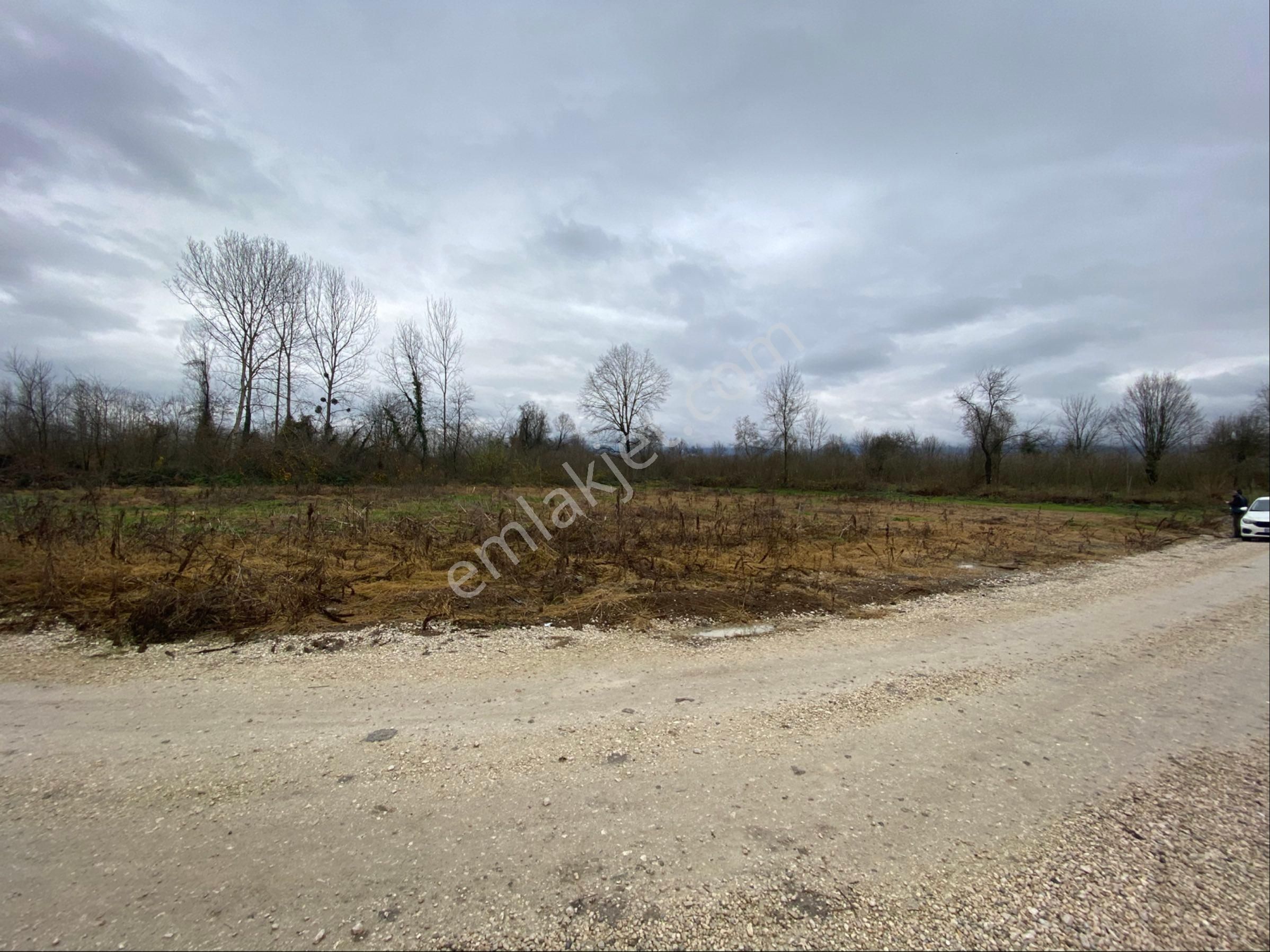 Düzce Merkez Darıcı Satılık Konut İmarlı Akmanoğlu Emlak'tan Darıcı Mahallesinde Satılık 1738 M2 İmarlı Arsa